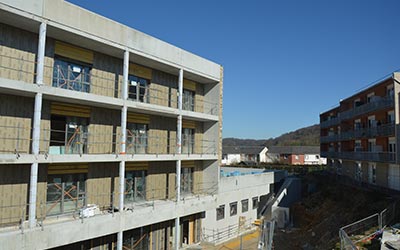 Avancement des travaux des nouveau Myosotis